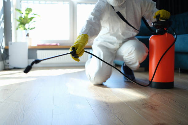 Best Mosquito Control Services  in Hector, MN