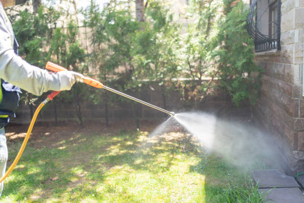Best Cockroach Control Services  in Hector, MN