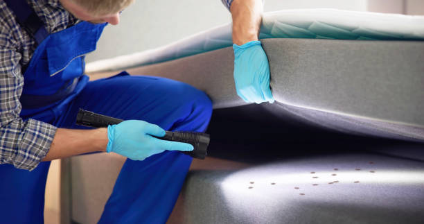 Best Commercial Pest Control Services  in Hector, MN
